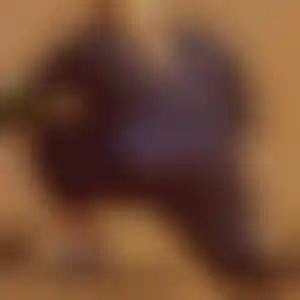 Foto von Kerstin
