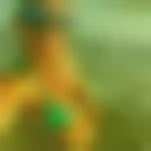 Foto von Franziska