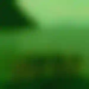 Foto von Ute