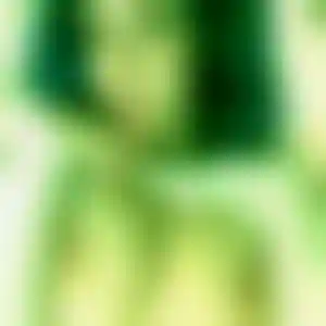 Foto von Ulrike