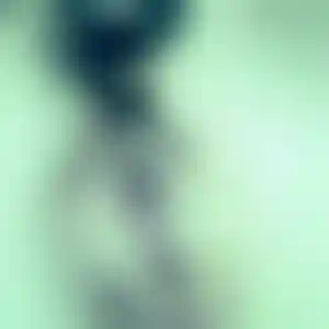 Foto von Silke