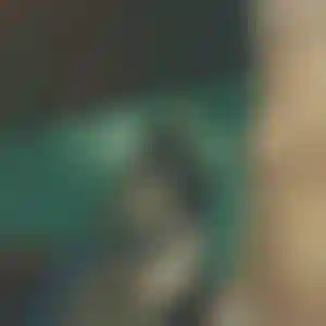 Foto von Franziska