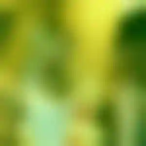 Foto von Carolin