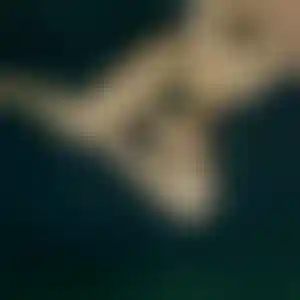 Foto von Lina