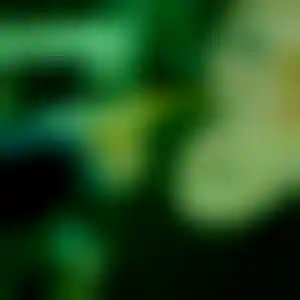 Foto von Manuela