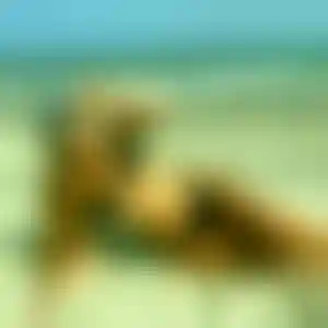 Foto von Gerlinde
