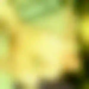 Foto von Luisa
