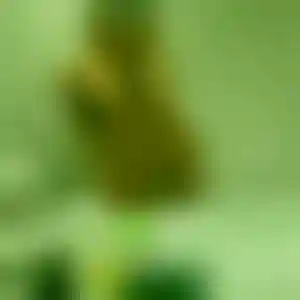 Foto von Chiara
