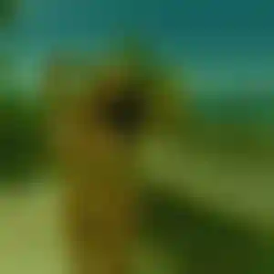 Foto von Ute