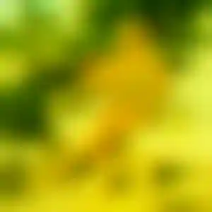 Foto von Annette