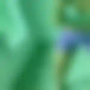 Foto von Jule