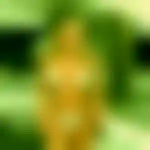 Foto von Christiane