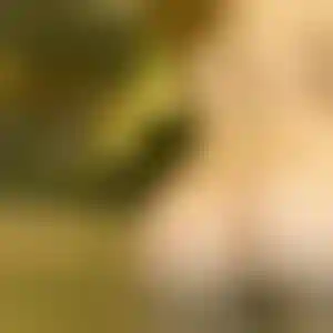 Foto von Silke