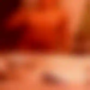 Foto von Fiona