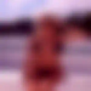 Foto von Jasmin