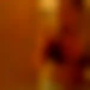 Foto von Anja