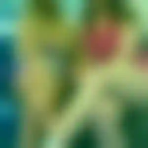 Foto von Sandra