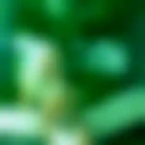 Foto von Annalena