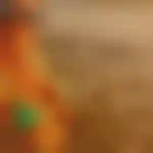 Foto von Tanja