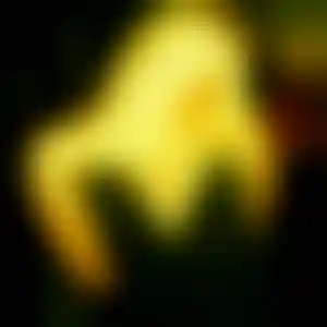 Foto von Bettina