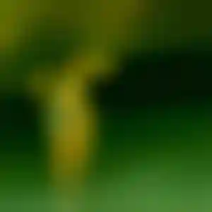 Foto von Manuela