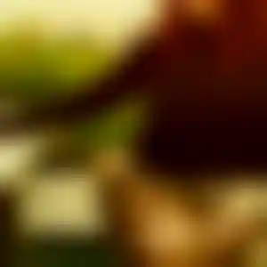 Foto von Julia