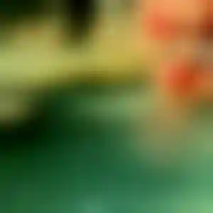 Foto von Anja