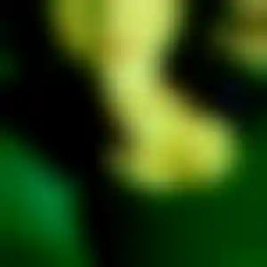 Foto von Antonia