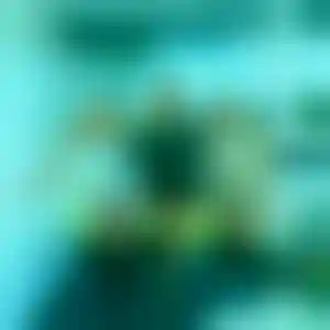 Foto von Elke