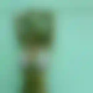 Foto von Silke