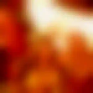 Foto von Ulrike