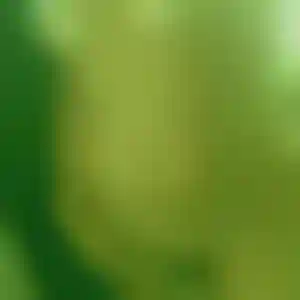 Foto von Anja