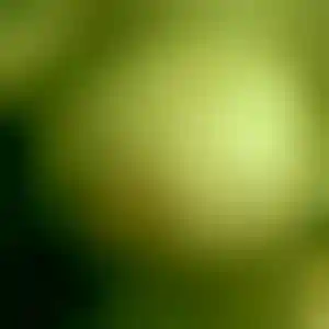 Foto von Miriam
