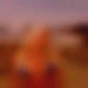 Foto von Annika
